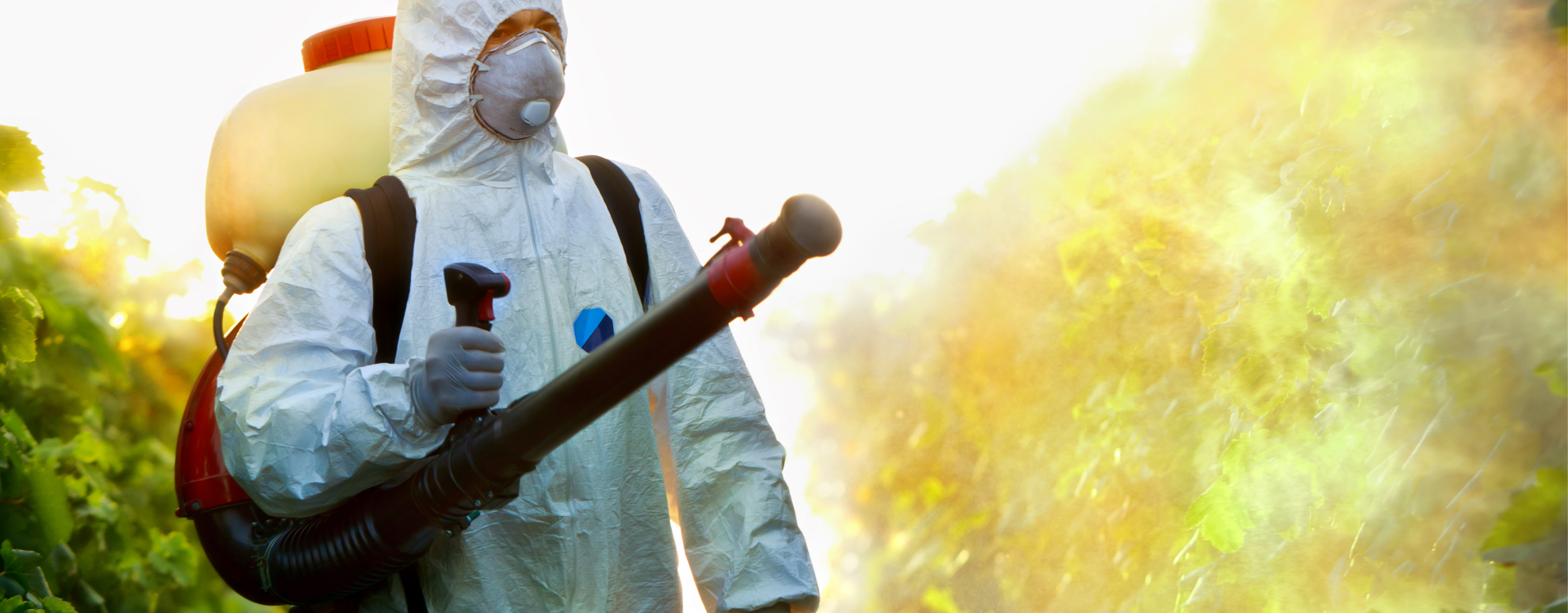 Profesyonel İlaçlama, Kesin Sonuç!