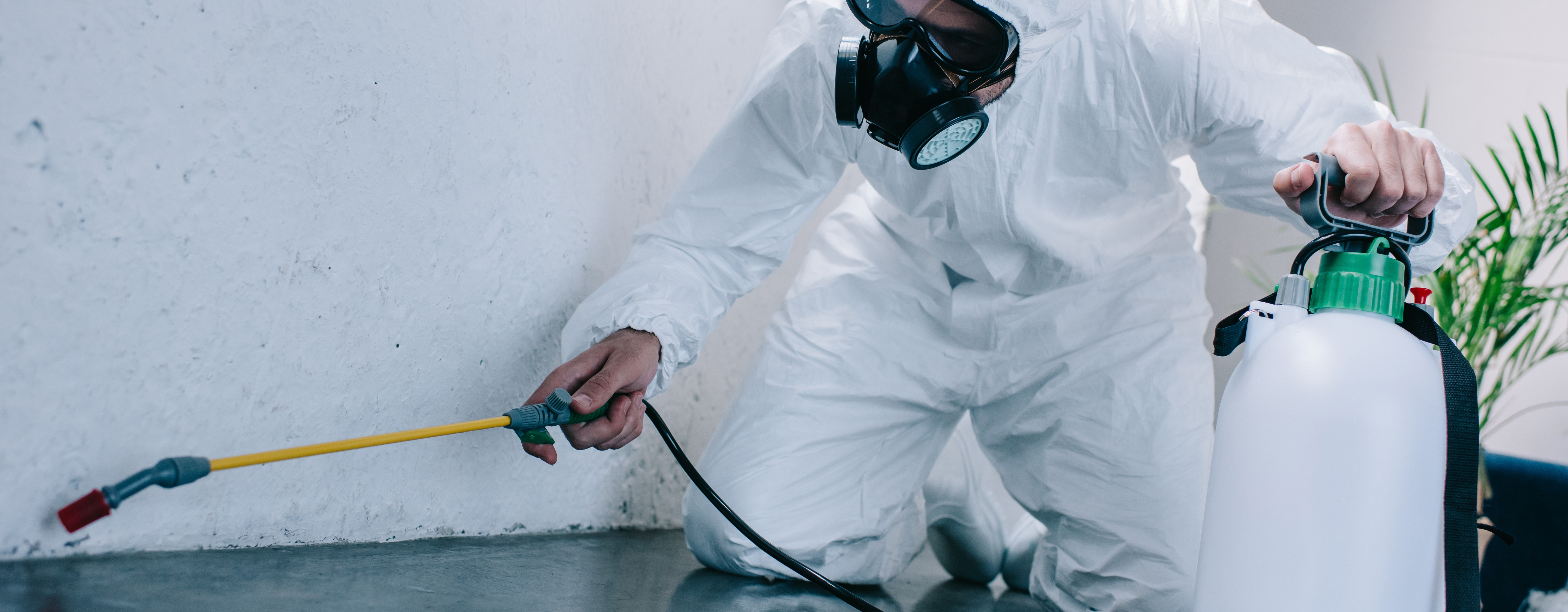 Haşerelere Geçit Yok!